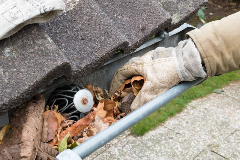 Clean Gutter System