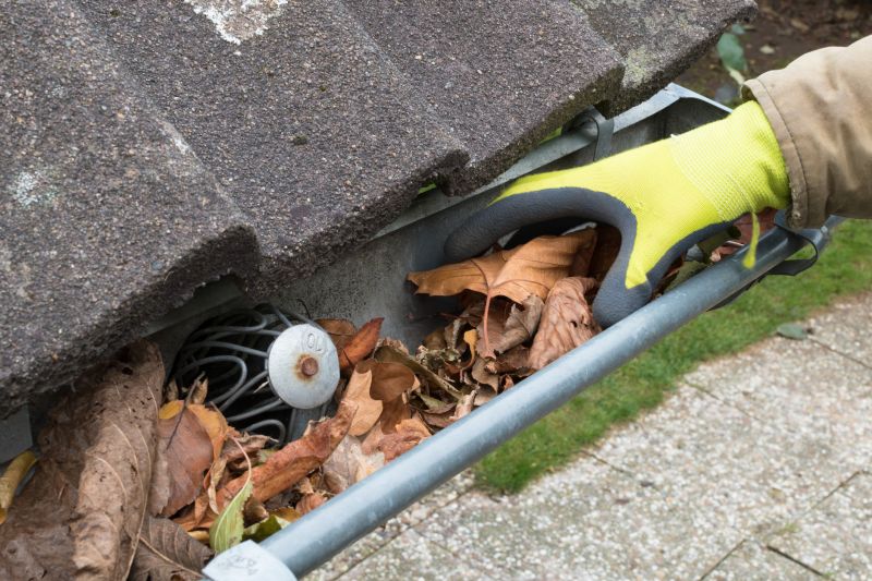 Clogged Gutter Blockage
